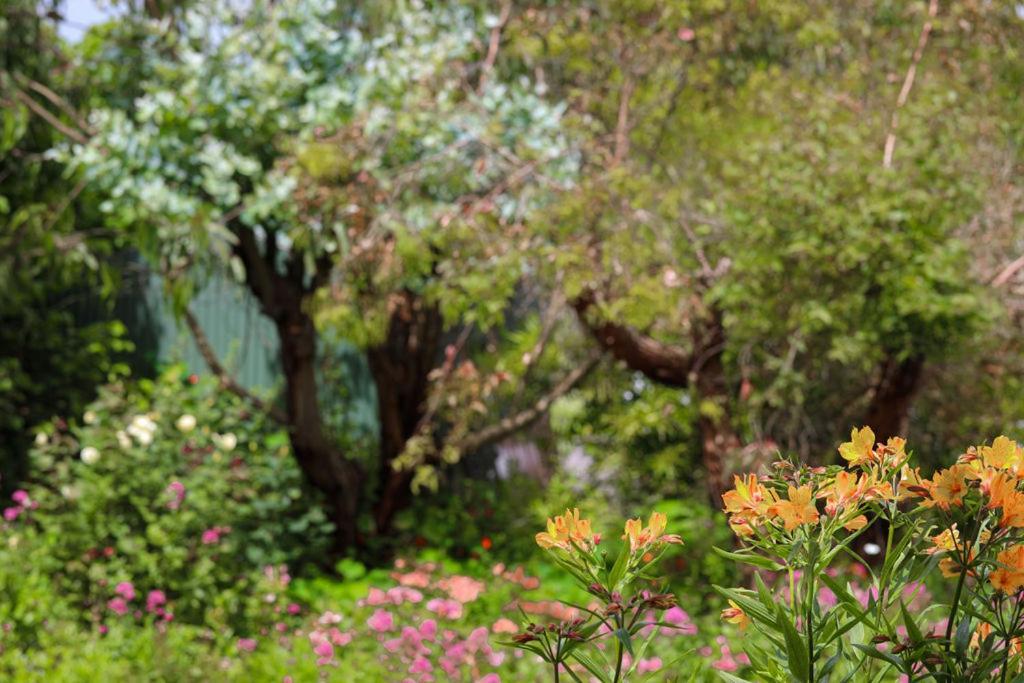 Daysy Hill Country Cottages Port Campbell Eksteriør bilde